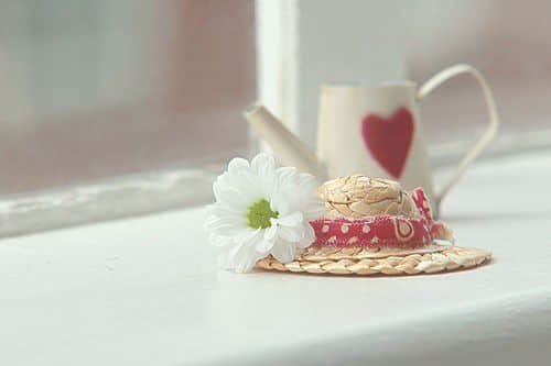 Ů˵˵ͼƬ12