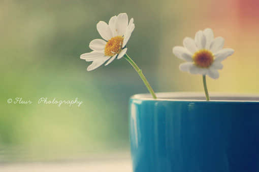 õİ飬Ƕ໥Ƿ