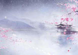 ʫ˼绨