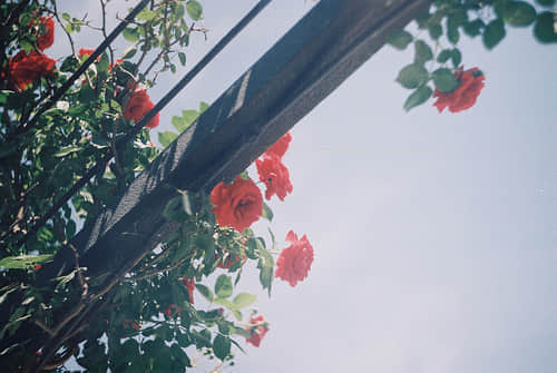 ˸ľ˵˵