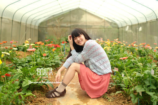 һ仰˸е