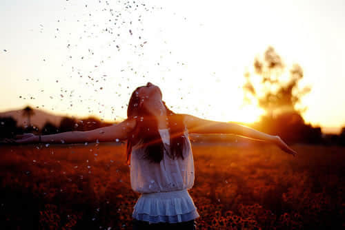 ޷ʵֵĸԭ