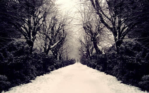 2016ĬȤĸ˵˵