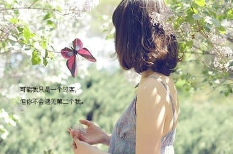 һ仰˸еĶ