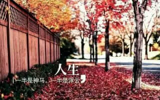[ϵУʮ]֮£޾