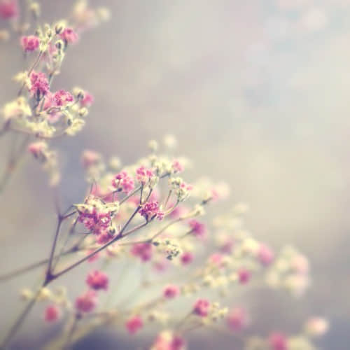 ľӹڰ