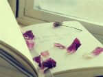 ˭ı󣬲ǹ