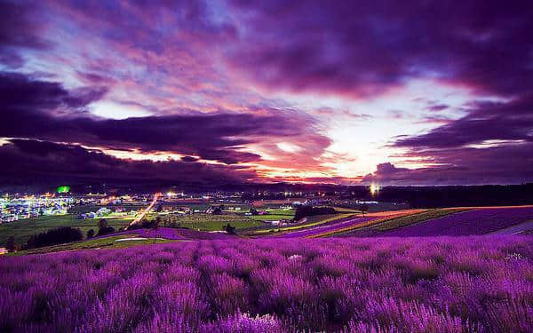 ӱܲΪȥʲôڵȴʲô