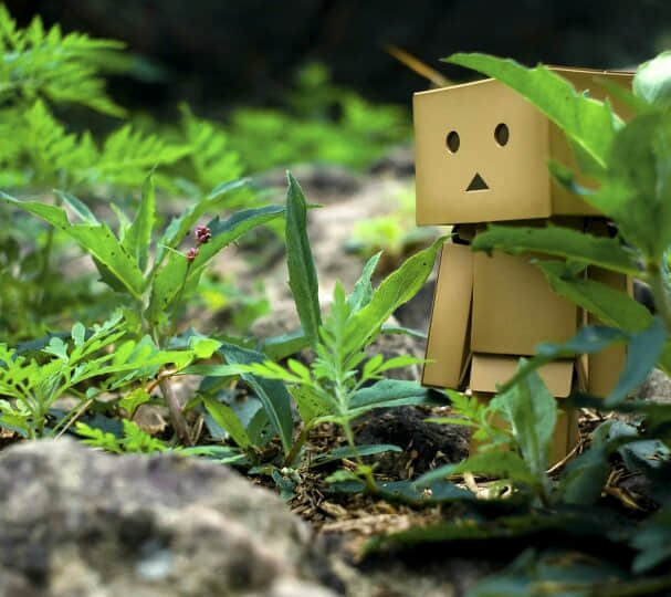 Ƿ羰