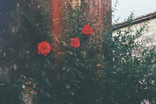 ԽԽµ˵˵
