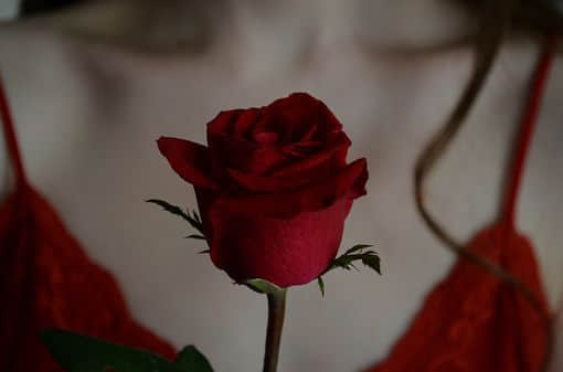 νҸǿЦޣ