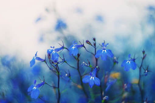 2016˵˵ ֻҪŮమʹ˲ɾҲ۵