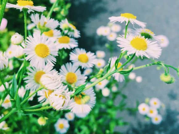 ΢ž˵˵ȫ