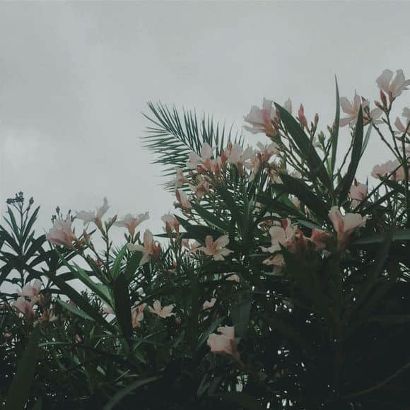 鵭˵˵˵