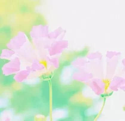 簲˵˵