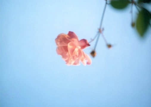 簲˵˵ȫ