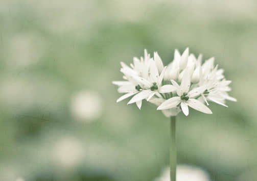 ˵Ծ