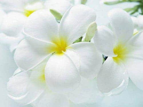ܱľ