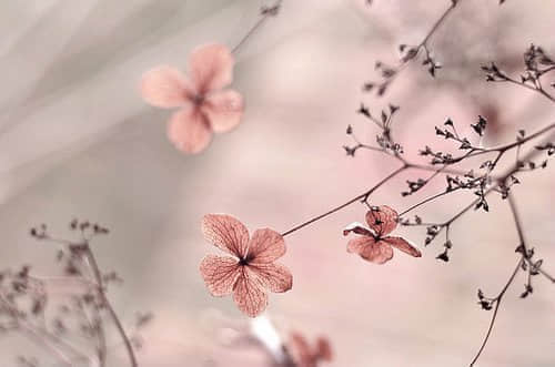 qqǩ˵˵ȫ