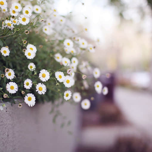 Ļ˵˵