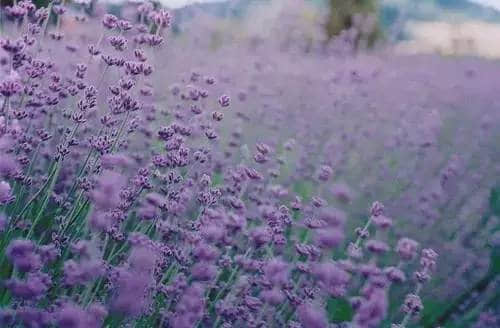 СͼƬ˵˵ȫ