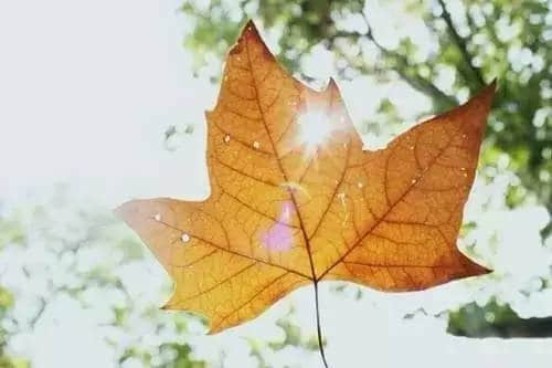 СͼƬ˵˵ȫ