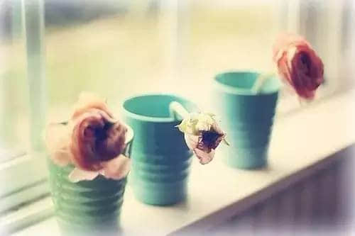 СͼƬ˵˵ȫ