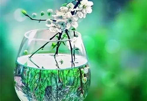 СͼƬ˵˵ȫ
