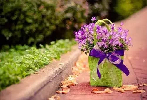 СͼƬ˵˵ȫ