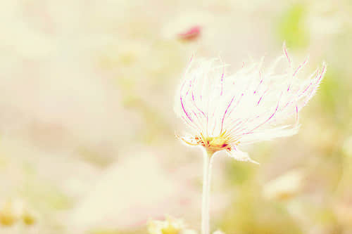 ʮ־ٵ