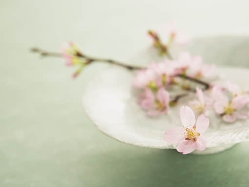 ʹľ