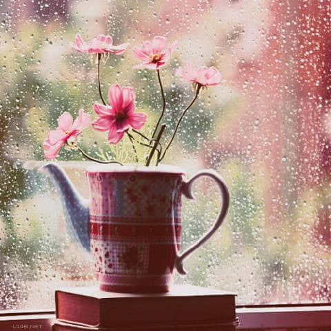 qqռ ҿĶ̬»