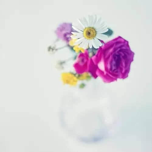 ˵ľ