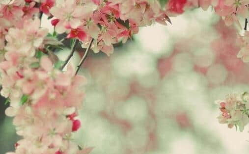 ĵĻ