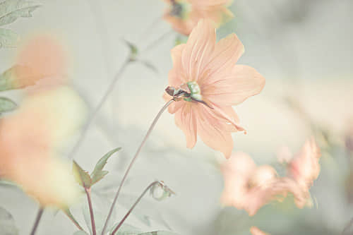 һ˹¶˸е˵˵
