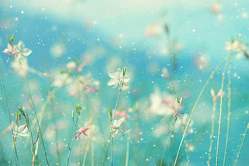 qq˵˵¼ ̫٣̫ɵ֮һж̫ʵ