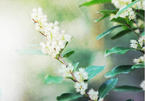 һ仰˸еľ˵˵