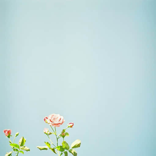 簲˵˵