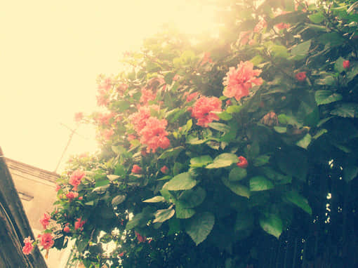 ڿݵ˵˵