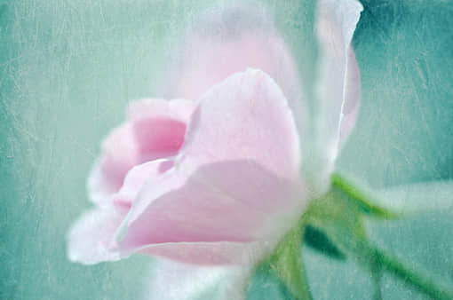 һһʹϲҲ