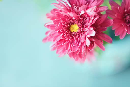 ΢˵˵ж̾
