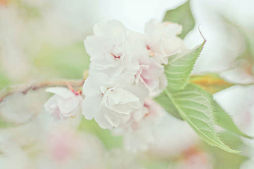 27˸ʧľ