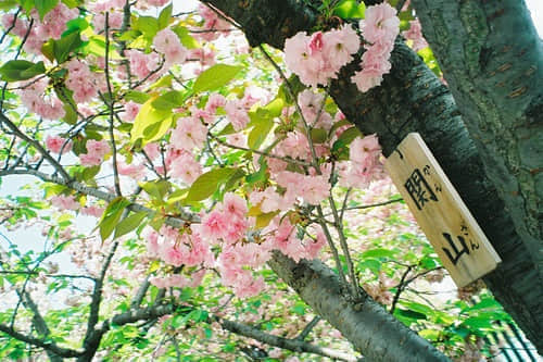 ΢ž䰮¼˵˵