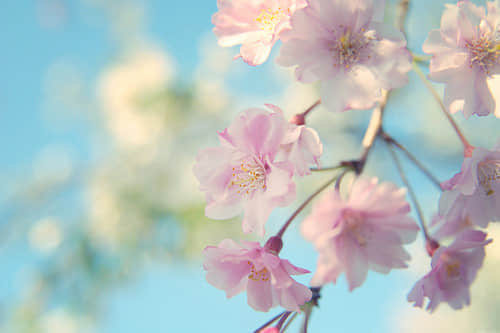 Ψ˵˵ Щƽ밲һ