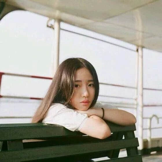 ̬ƽ˾Ͷ