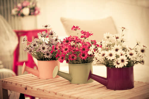 qq˸Ψİ