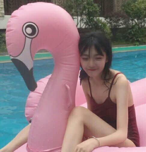 2016°氮˸˵˵