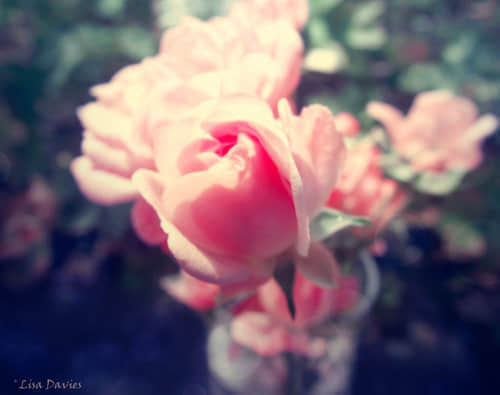 ˵˵ ˱
