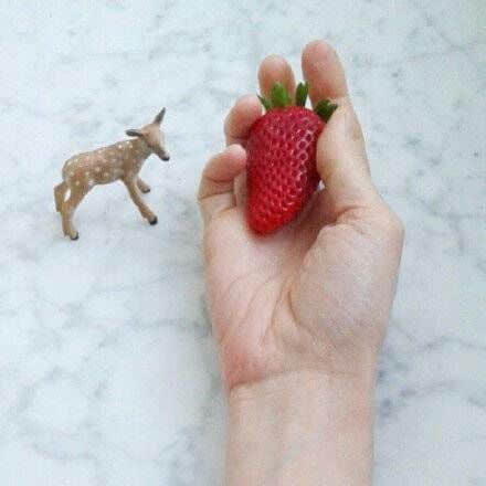 ڰĸԶ