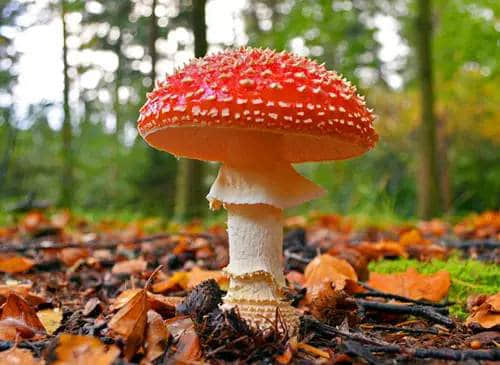 ഺΨľ˵˵